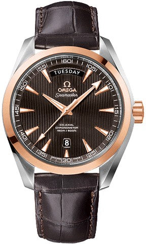 Omega Seamaster Aqua Terra 231.23.42.22.06.001