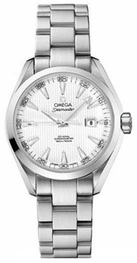 Omega Seamaster Aqua Terra 231.10.34.20.04.001