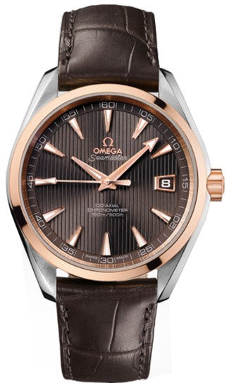 Omega Seamaster Aqua Terra 231.23.42.21.06.001