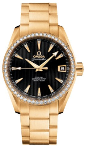 Omega Seamaster Aqua Terra 231.55.39.21.51.002