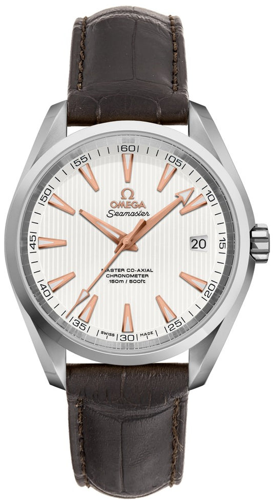 Omega Seamaster Aqua Terra Men's Watch 231.13.39.21.02.003