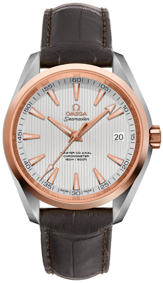 Omega Seamaster Aqua Terra 231.23.42.21.02.001